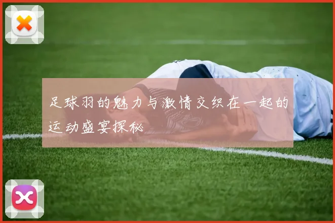 足球羽的魅力与激情交织在一起的运动盛宴探秘